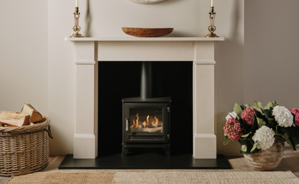 The Chesney Salisbury 5 Bioethical Stove